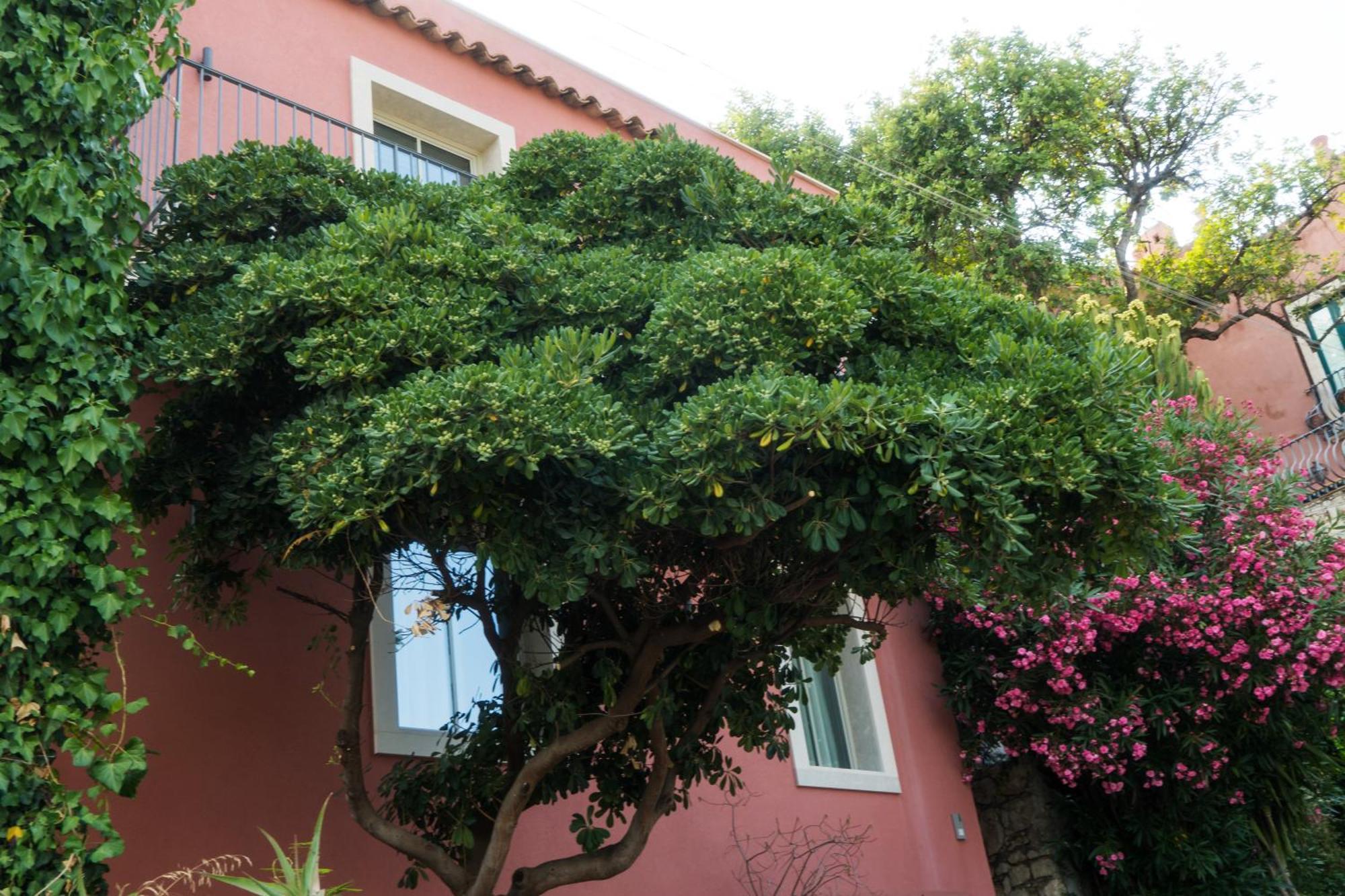 The Charming House *