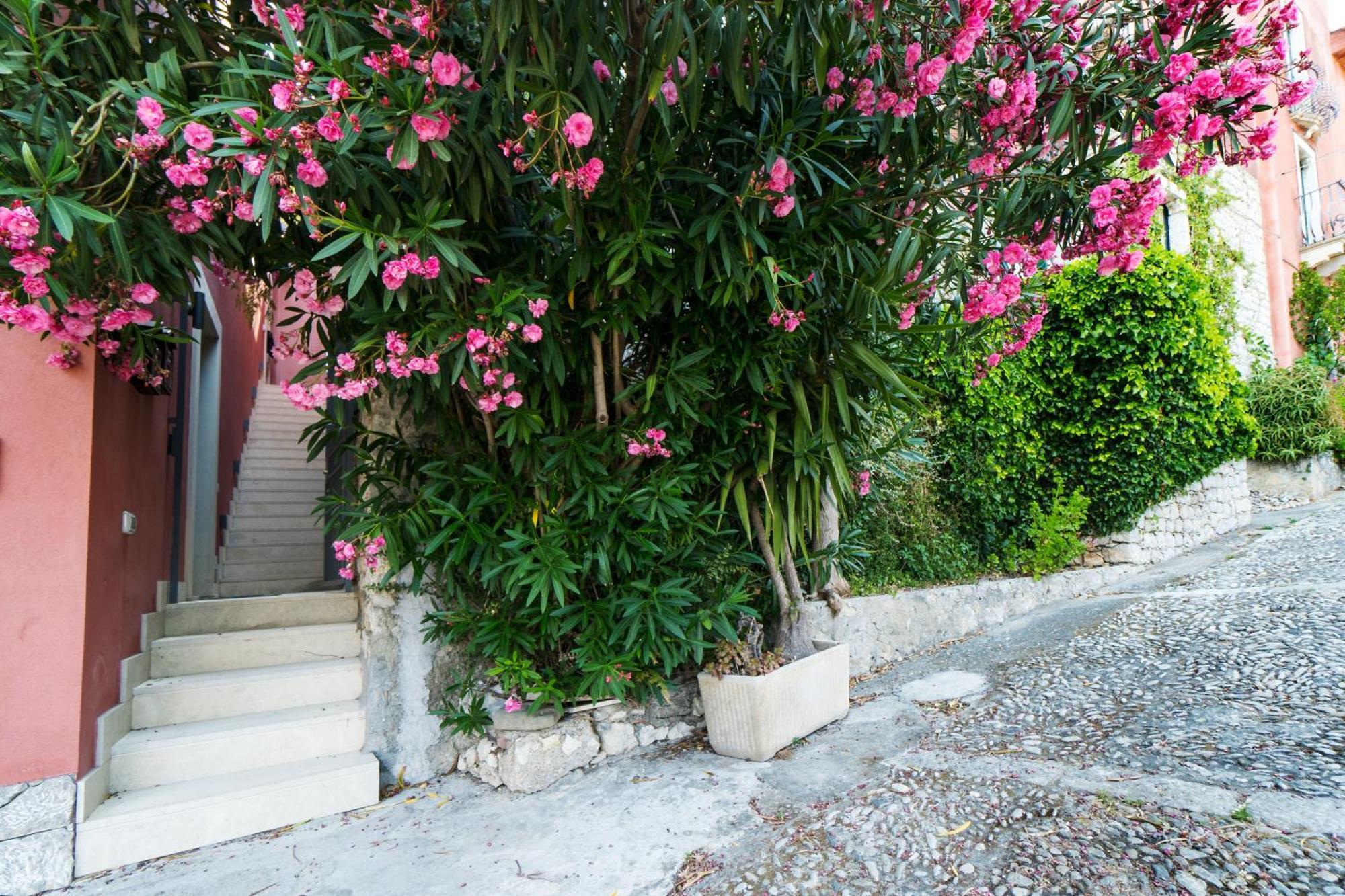 Leilighet The Charming House